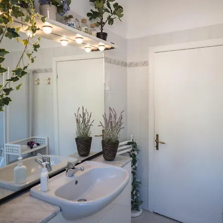 Recanissu With Balcony & Ac