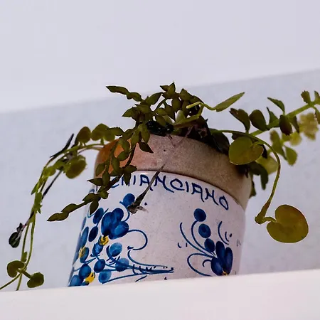 Recanissu With Balcony & Ac Διαμέρισμα *