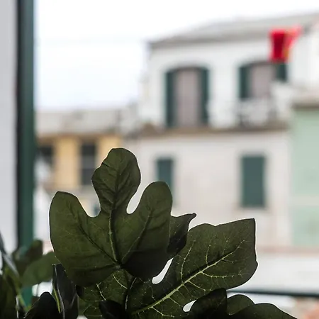 Recanissu With Balcony & Ac