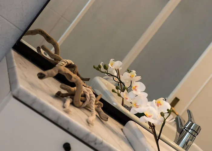 Apartament Recanissu With Balcony & Ac